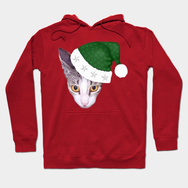 Cute Cat In Green Christmas Hat Hoodie by aspinBreedCo2